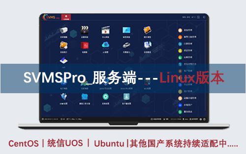 SVMSPro_Linux版本